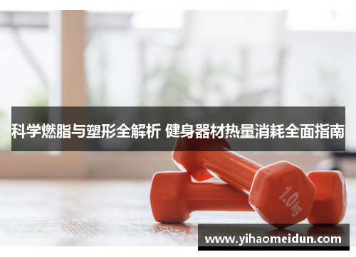 科学燃脂与塑形全解析 健身器材热量消耗全面指南