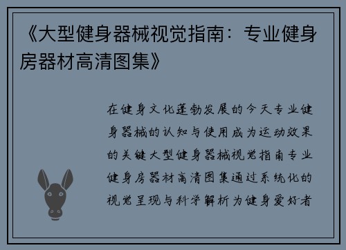 《大型健身器械视觉指南：专业健身房器材高清图集》