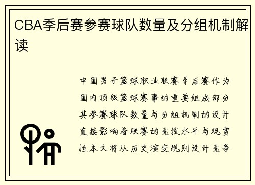CBA季后赛参赛球队数量及分组机制解读